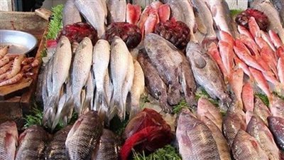 عاجل| أسعار الأسماك اليوم بسوق العبور