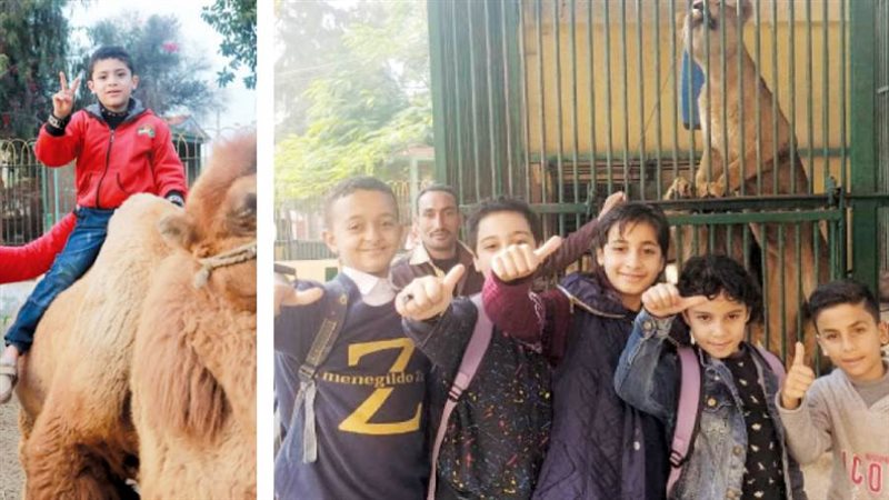 بوابة روز اليوسف