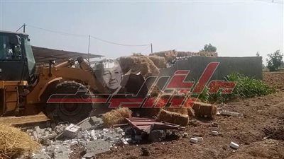الموجة الـ24 تنفذ 15 إزالة تعديات على الأراضي الزراعية بكفر الشيخ