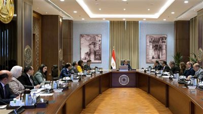 في اجتماع برئاسة رئيس الوزراء: الحكومة تُدبّر التمويل اللازم لشراء الأقطان المصرية