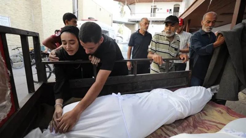 بوابة روز اليوسف