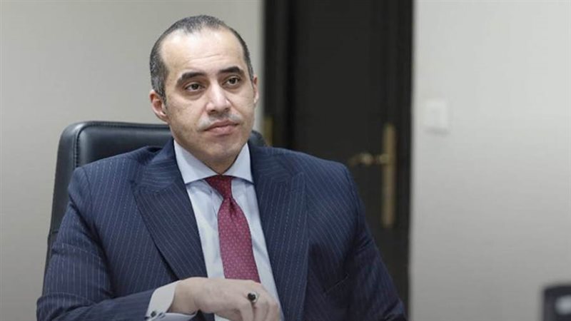 المستشار محمود فوزي