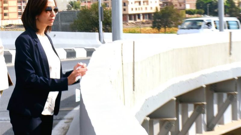 محافظ البحيرة تتفقد