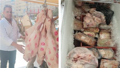 الجيزة تضبط 7 أطنان لحوم ودواجن غير صالحة للاستهلاك الآدمي
