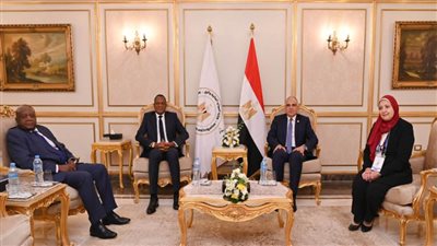 سويلم سلتفي وزير المياه الزيمبابوي ويؤكد حرص مصر على تقديم التدريب وإيفاد الخبراء الفنيين لزييمبابوي