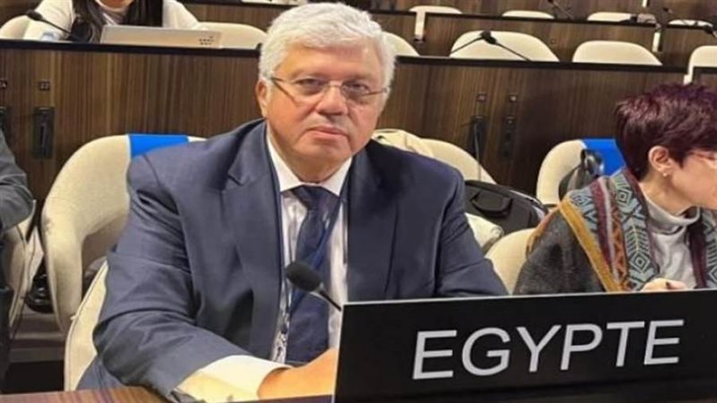 د. أيمن عاشور وزير