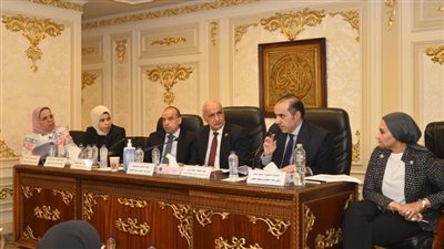 لجنة التعليم بالنواب تناقش مشروع قانون لنائبة التنسيقية دعاء عريبي لإنشاء المجلس الأعلى للتعليم وتوافق عليه