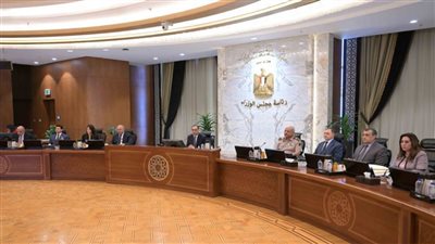 تعرف على 7 قرارات أصدرها مجلس الوزراء اليوم 