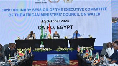 وزير الري يترأس الاجتماع الرابع عشر للجنة التنفيذية لمجلس وزراء المياه الأفارقة (الأمكاو)