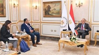 وزير الري يبحث مع صندوق المناخ الأخضر تمويل أعمال تطوير الري بوادي النقرة بأسوان