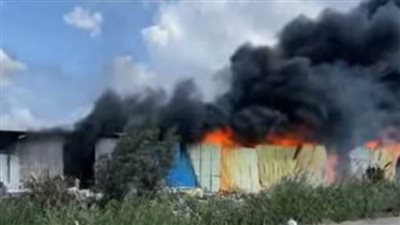 بالصور.. السيطرة على حريق بمصنع قطن في المحلة الكبرى