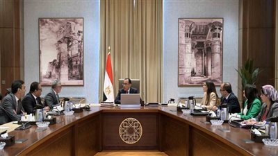 رئيس الوزراء يتابع مع رئيس المنطقة الاقتصادية لقناة السويس توطين صناعة السيارات