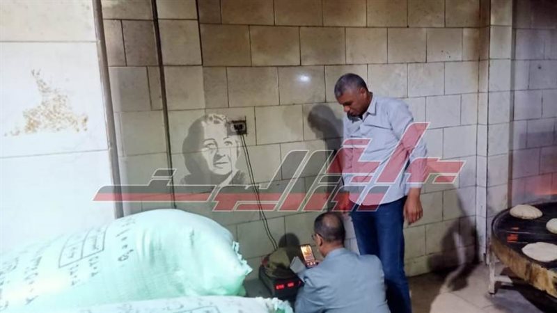 الحملات الرقابية