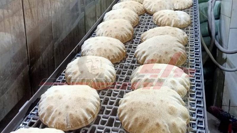 مخابز كفرالشيخ