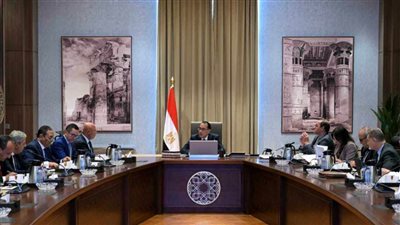 رئيس الوزراء: إعطاء حوافز غير مسبوقة للصناعات غير الموجودة بمصر بهدف توطينها