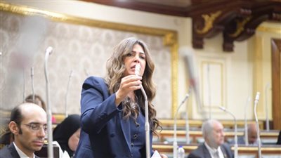 مجلس النواب والحكومة يوافقان على إضافة «وزير الصحة» لتشكيل المجلس الوطني للتعليم