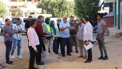 محافظ الوادي الجديد: رفع كفاءة الطرق الداخلية بالإنترلوك