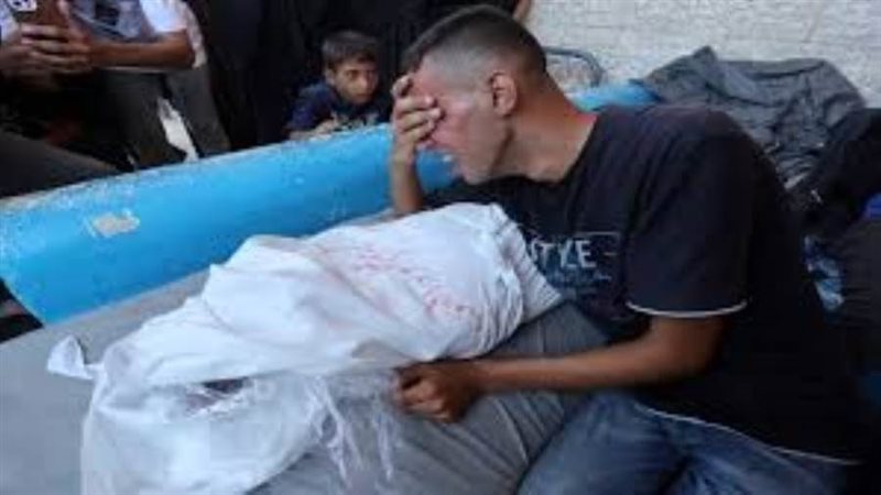 بوابة روز اليوسف