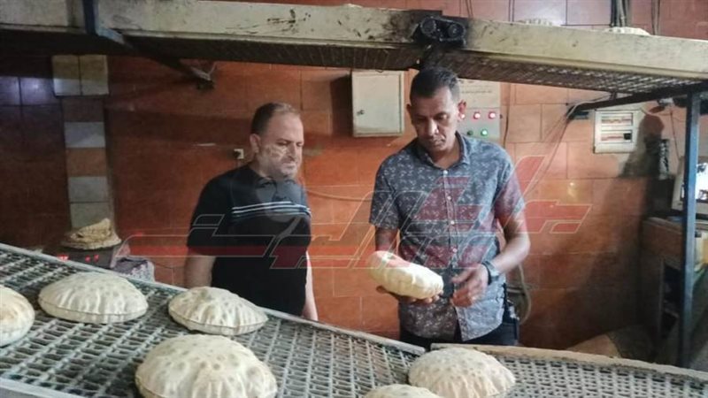 الحملات الرقابية