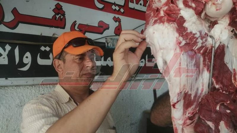 الحملات الرقابية