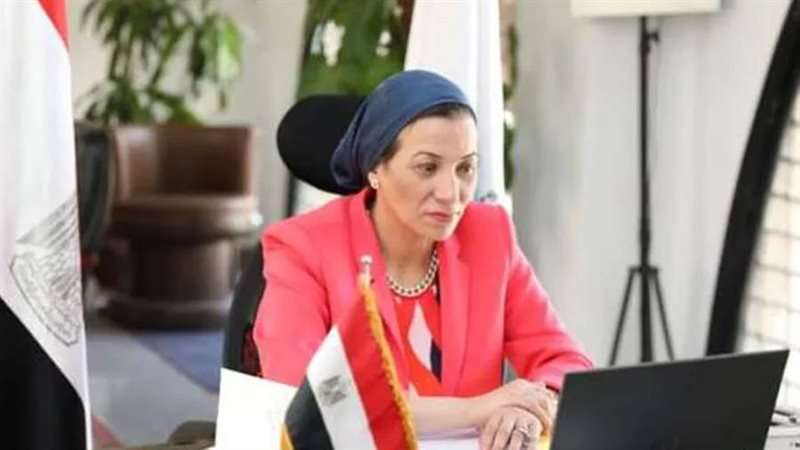 الدكتورة ياسمين فؤاد