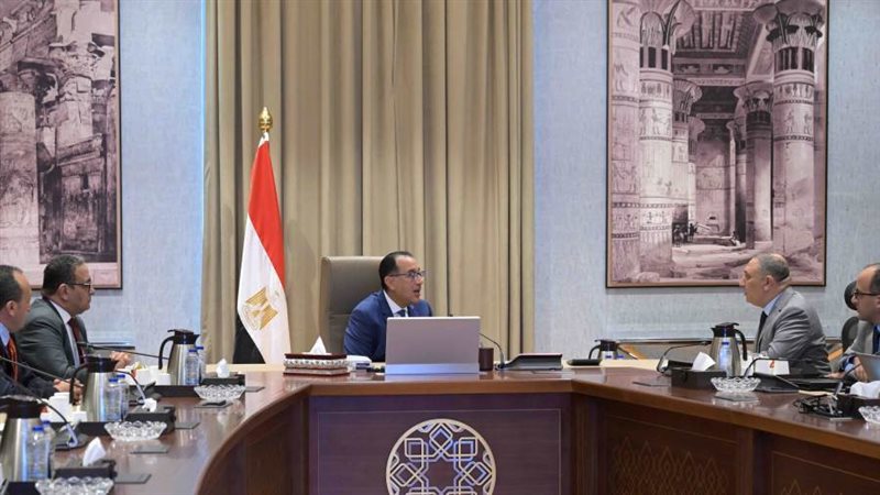 لقاء رئيس الوزراء