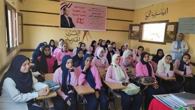 المنيا تواصل الخطط والأنشطة لتفعيل مبادرة  