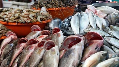 عاجل| أسعار الأسماك اليوم بسوق العبور
