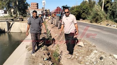 استمرار زراعة الأشجار بسيدي سالم ضمن المبادرة الرئاسية «100 مليون شجرة»