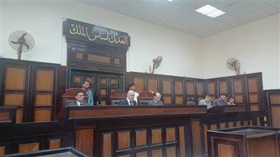 جنايات أسيوط تعاقب فلاحًا بالسجن المؤبد لاشتراكه مع آخرين في قـتل شخصين