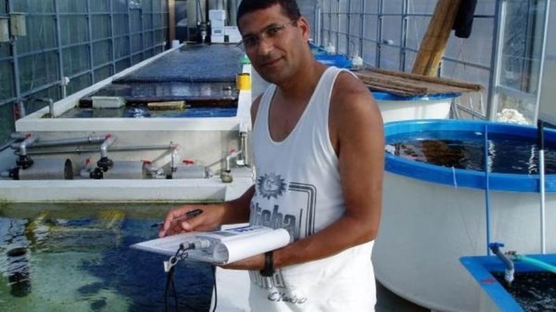 د. محمد إسماعيل أستاذ