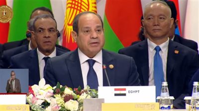 السيسي: مصر حريصة دوما على تعزيز التعاون بين الدول النامية لمواجهة التحديات