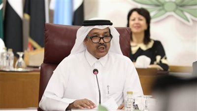 رئيس لجنة الميثاق يعرب عن القلق البالغ لتدهور وضعية حقوق الإنسان في فلسطين ولبنان 