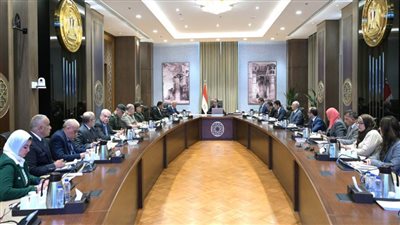 رئيس الوزراء يتابع تنفيذ المرحلة الأولى لمشروع تنمية 