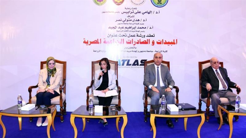 منصة ورشة العمل