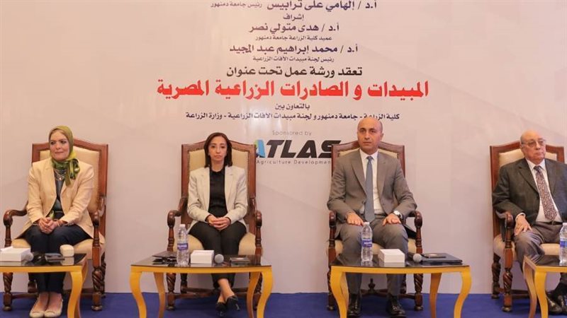 منصة ورشة العمل