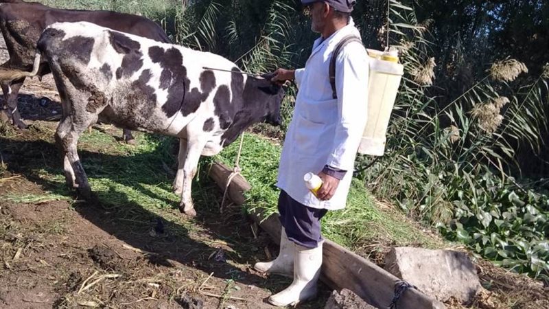 جانب من الخدمات البيطرية