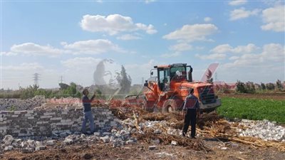 إزالة التعديات على أملاك الدولة والأراضي الزراعية ضمن الموجة الـ24