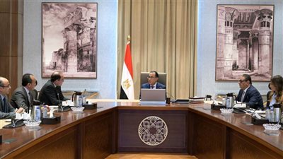 رئيس الوزراء يستعرض مع وزير المالية عددًا من ملفات العمل