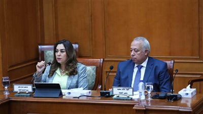 وزيرة التنمية المحلية تستعرض جهود الوزارة في تنفيذ قانون التصالح على مخالفات البناء