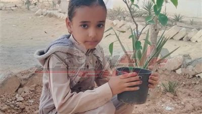 من قلب مدرسة سملا القديمة بصحراء مطروح.. الطلاب يزرعون الورد بفناء المدرسة