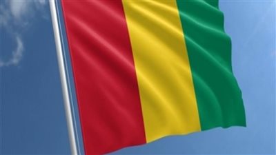 السلطات الغينية تعلن حل عشرات الأحزاب ووضع حزبين معارضين رئيسيين 