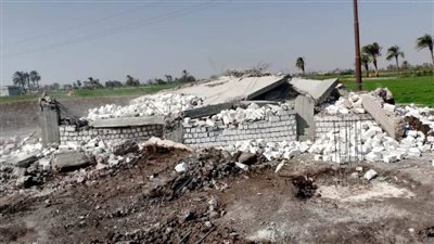 الموجة 24.. إزالة 133 حالة تعدٍ على الأراضي الزراعية وأملاك الدولة بالمنيا