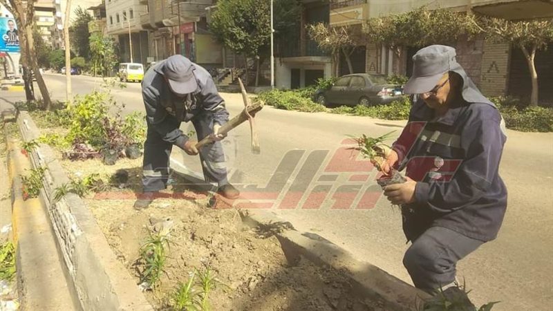 زراعة الأشجار