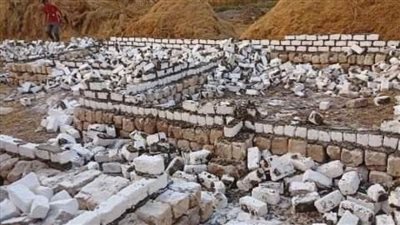 ضمن الموجة الـ24 .. إزالة التعديات المخالفة على الأراضي الزراعية بالشرقية 