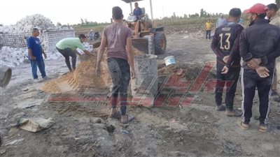 إزالة التعديات على الأرضي الزراعية بمطوبس في كفر الشيخ 