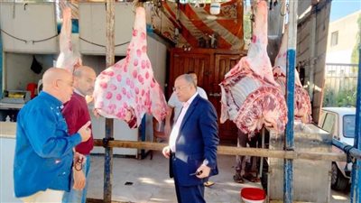 زراعة البحيرة.. فتح منافذ لبيع اللحوم البلدي والمجمدة بأسعار مخفضة 