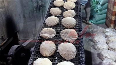 تحرير 5 محاضر مخالفات تموينية بكفر الشيخ 