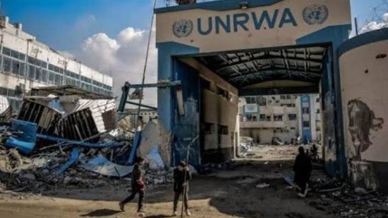 بوابة روز اليوسف