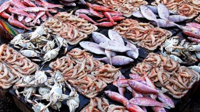 عاجل| أسعار الأسماك اليوم السبت بسوق العبور